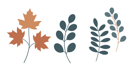 Autumn Leaves and Branches Illustration on White Background for Fall Designs