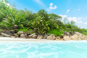 Turquoise water, palms and rocks in a tropical beach