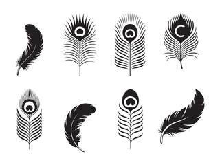  janmashtami peacock feather set