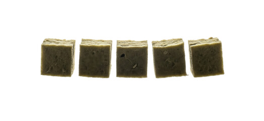Mini rockwool cube set for seedlings on a transparent background