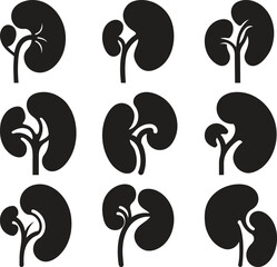 Collection of Simple Kidney Icons for Medical or Educational Use