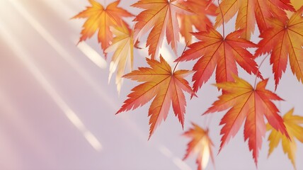autumn leaves background,red maple leaves,autumn leaves on the ground,,maple leaves background,