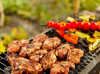 barbecue grilled meat and vegetables