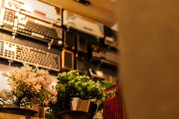 Desk with bonsai and keyboard collection in a cozy workspace, perfect tech and nature blend