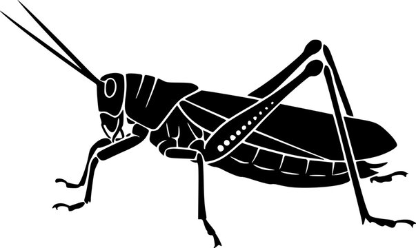 katydid silhouette line art vector illustration with a white background

