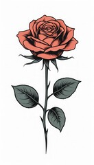 Coral rose bloom with dark leaves blooming flower dark green leaves