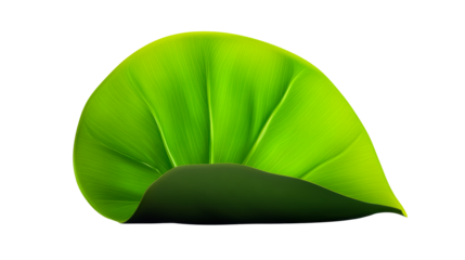Vibrant green tropical leaf with a lush texture and curved edges