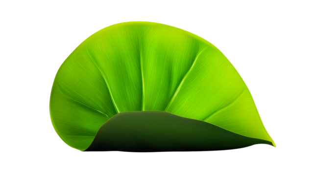 Vibrant green tropical leaf with a lush texture and curved edges