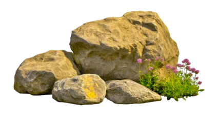 Decorative rocks with flowers on a transparent background
