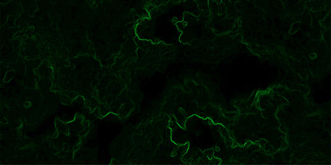Abstract dark background featuring swirling green neon wisps and smoky, misty patterns over a black backdrop. Organic, ethereal effect resembling energy currents, plasma flow, or mystical fog