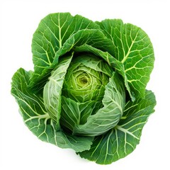This vibrant green cabbage is displaying its tightly packed leaves, creating a beautiful and intricate pattern