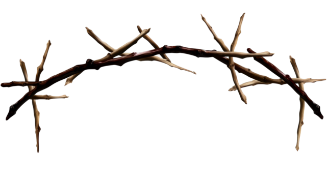 Unique decorative branch with natural twigs on transparent background