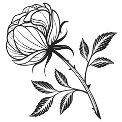 Elegant rose silhouette with leaves isolated on white background