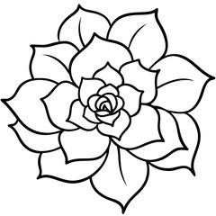 Black and white succulent plant silhouette isolated on white background
