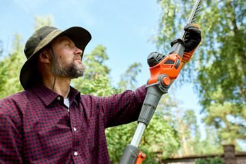 Gardener Using Electric Hedge Trimmer for Tree Maintenance on a Sunny Day