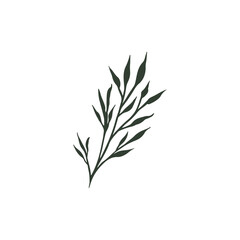 Elegant botanical sprig design perfect for wedding invitations, branding, and sophisticated minimalist projects with nature