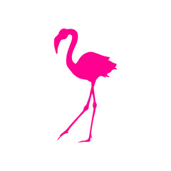 Vibrant pink flamingo silhouette walking gracefully, perfect for tropical designs, travel themes, and summer projects