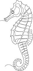 Detailed line drawing of a seahorse with a curled tail and distinctive body shape