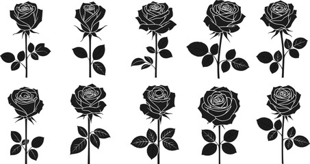 Cad drawing flat vector illustration of rose flower silhouettes, botanical graphic set, black and white minimal romantic floral artwork design