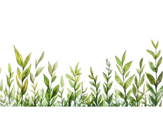 Obraz premium A detailed illustration of various shades of green foliage.