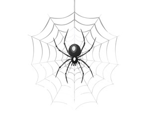 black spider vector with spider web on white background