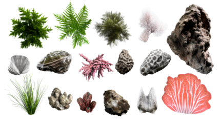 Collection of various natural elements with transparent background