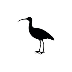 Obraz premium A curlew Bird's silhouette art on vector illustration.