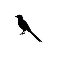Obraz premium A drongo Bird's silhouette art on vector illustration.