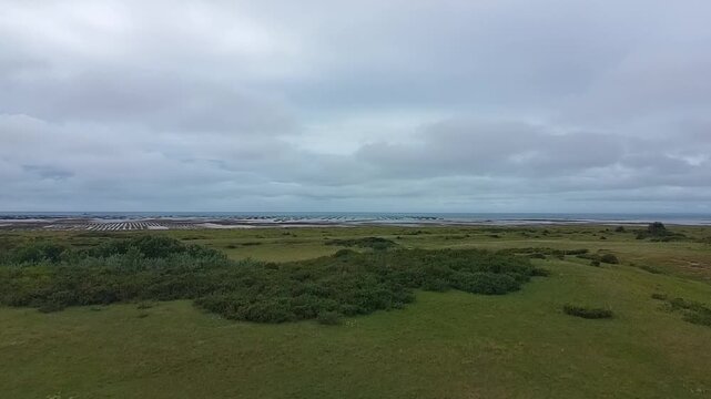 Aerial Vertical Rise Over Oyster Farms at Low Tide - Cloudy Weather 
