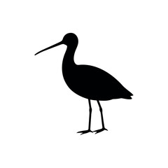 Fototapeta premium A godwit Bird's silhouette art on vector illustration.
