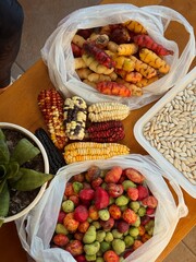 fruits and vegetables