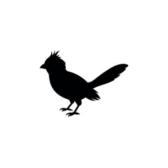 Fototapeta premium A mousebird Bird's silhouette art on vector illustration.