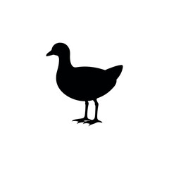 Obraz premium A moorhen Bird's silhouette art on vector illustration.