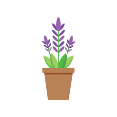 Lavender Plant in a Pot Simple Vector Illustration on White Background