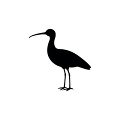 Obraz premium A whimbrel Bird's silhouette art on vector illustration.