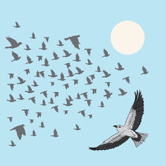 Grey bird flies and flaps its wings. Birds are flying in a wedge formation in the background.