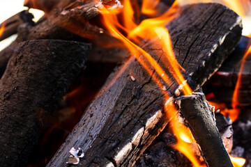 Burning wood and fire flames. Empty hot charcoal barbecue grill with bright flame
