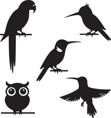 Fototapeta premium Black silhouette vector illustrations of five different birds including a parrot an owl and hummingbirds