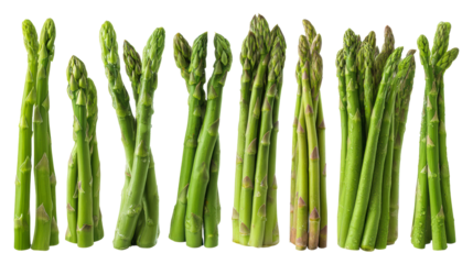Fresh green asparagus arranged in a row with transparent background
