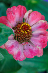 Die Altstadt von Hildesheim in Niedersachsen