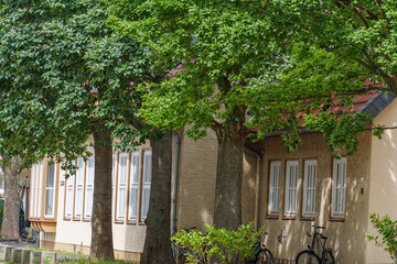 Die Altstadt von Hildesheim in Niedersachsen