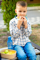 school meals, a student's child has lunch on the street with a hamburger, a boy eats sandwiches before school, a student's fast food.