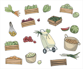 Hand drawn vector illustration of fresh vegetables, grocery basket, crates and a shopping trolley, carrots, lettuce, cucumbers, onions, apples and watermelon