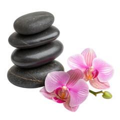 3d zen spa stones with pink orchids