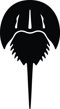 Silhouette Horseshoe crab marine animal black and white vector illustrator
