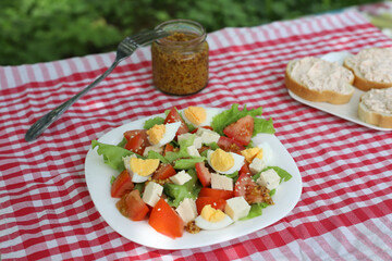 breakfast in nature. On a red checkered tablecloth there is a plate with a salad of eggs, tomatoes, fresh herbs and cheese cubes, and next to it there is a plate with sandwiches and mustard in a jar.