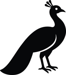 Silhouette peacock standing proudly elegant design vector illustrator