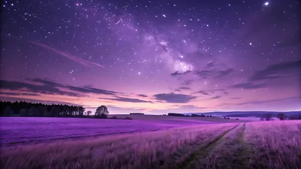 Gordijnen A breathtaking night landscape reveals a starry sky and the milky way over a purple field, creating a magical and serene scene © lazy