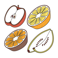 Vibrant flat vector fruit slice icons with clean edges