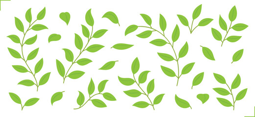 leaves and branch graphic element vector set